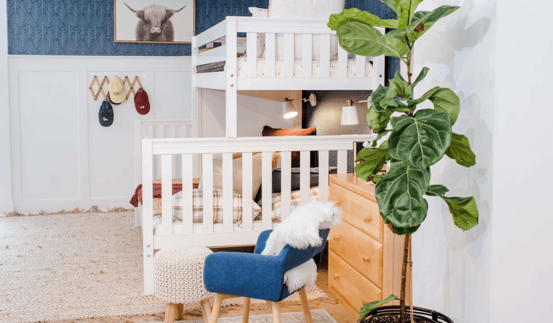 Quality Kids Beds So Many Choices and Possibilities with Maxtrix