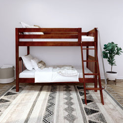 Wooden bunk bed with white bedding and decorative ladder in a modern bedroom featuring a patterned rug and a potted plant.