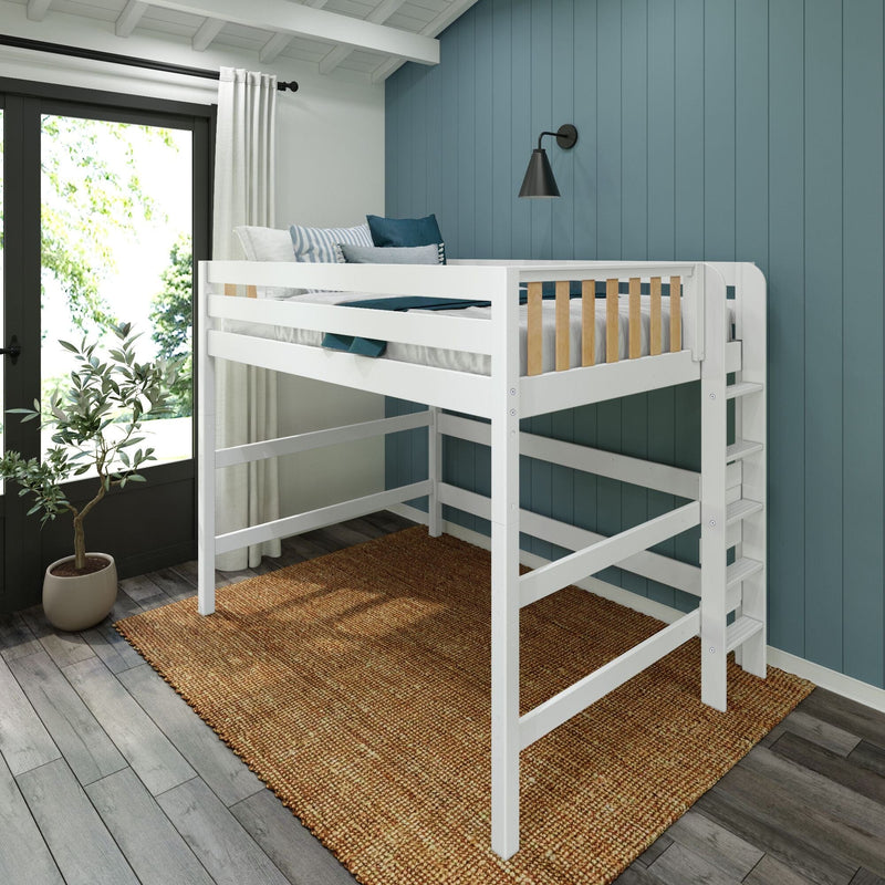 White children's loft bed with ladder and blue shiplap accent wall in modern kids' bedroom with pillows, window, plant and woven rug