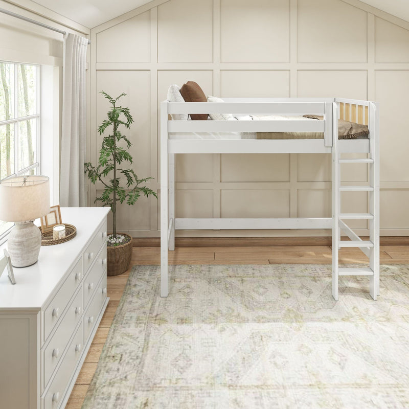White loft bed in bright neutral kids bedroom with ladder, white dresser, paneled accent wall, houseplant, window light and soft area rug