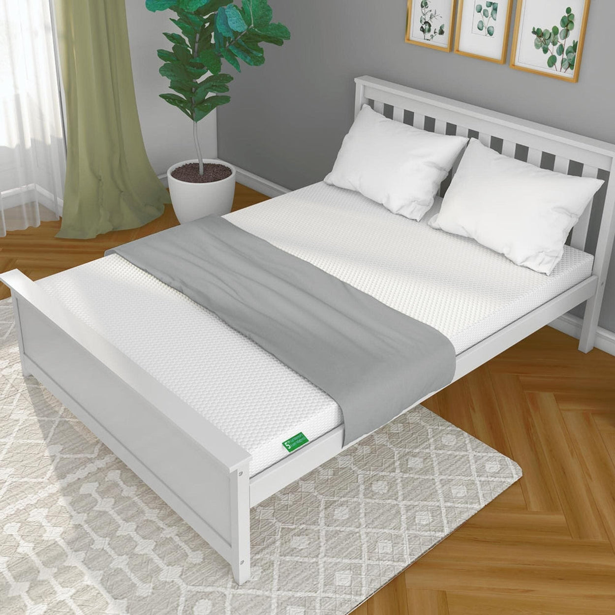 Minimalist bedroom with white bed frame, memory foam mattress, and leafy green plant for modern interior design inspiration.