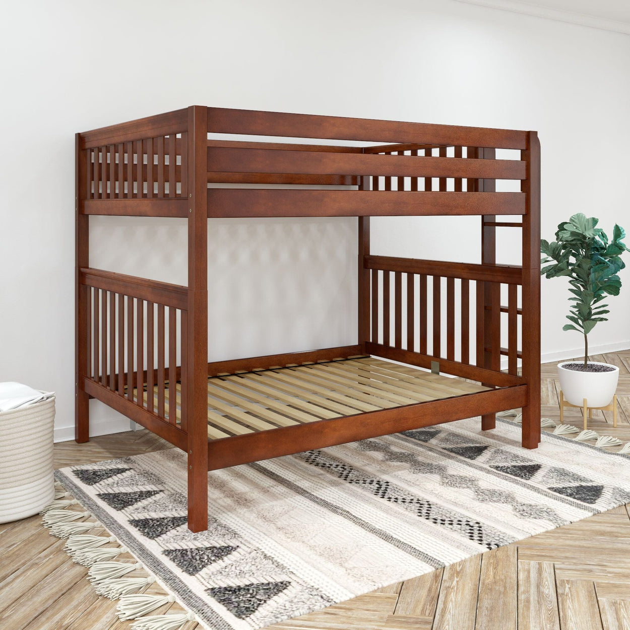 Wooden bunk bed frame in a modern bedroom with decorative rug and plant.