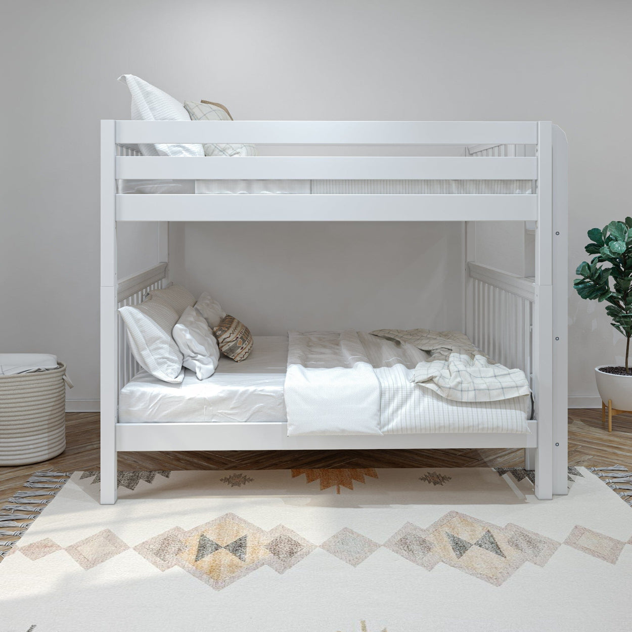 White wooden bunk bed with pillows and blankets in a modern bedroom with a patterned rug and potted plant.