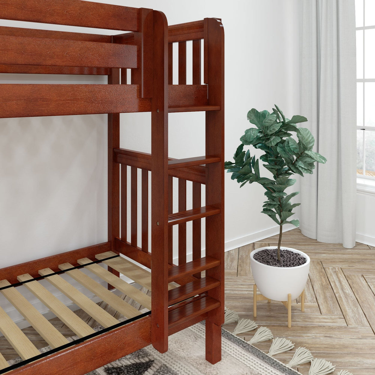 Wooden bunk bed frame next to a potted plant in a bright bedroom with light streaming through a window.