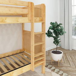 Wooden bunk bed with ladder in a modern bedroom featuring a potted indoor plant and natural light.
