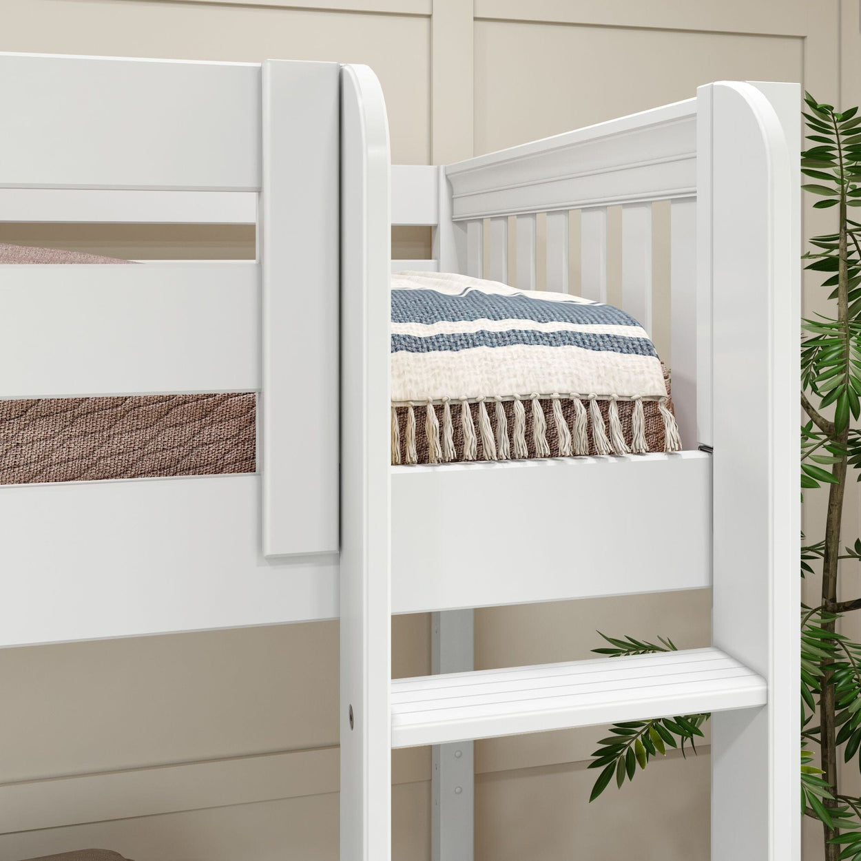 White wooden bunk bed with blue and white throw blanket, featuring ladder and green plant, in modern bedroom setting.