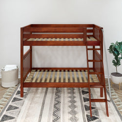 Wooden bunk bed frame with ladder in modern bedroom setting, featuring cozy rug and indoor plant.