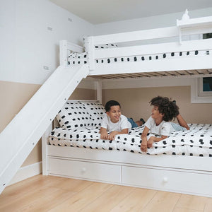Fun Bunk Beds