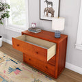 Reddish wooden three-drawer dresser with one open drawer in a light-filled room, styled with a white table lamp, pink alarm clock, stacked books, framed zebra-and-elephant print, potted plant, hardwood floor and colorful rug