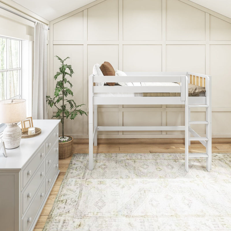 Neutral modern nursery with white wooden loft bed and ladder, white dresser, board-and-batten accent wall, potted plant, natural light