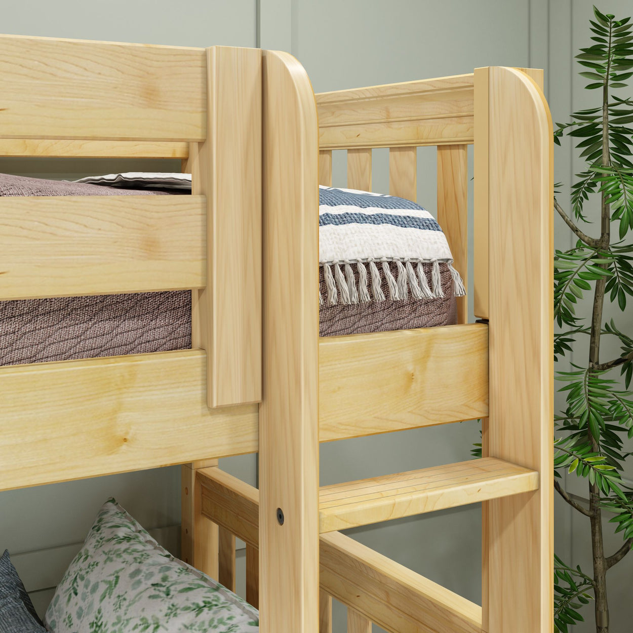 Wooden bunk bed frame with bedding and a plant in a cozy bedroom setting.
