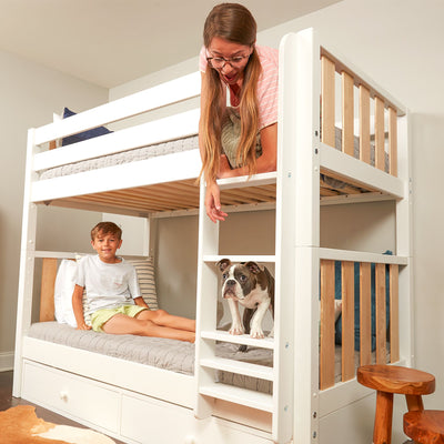 Family enjoying modern white bunk bed setup with playful dog on ladder and boy sitting on bottom bed.