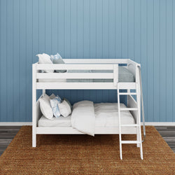 White bunk bed with cozy bedding against a blue paneled wall in a stylish kid's room.