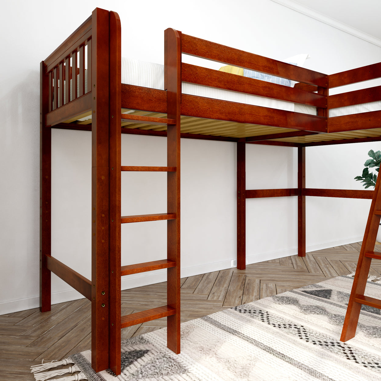 Wooden loft bed with ladder in modern bedroom décor.