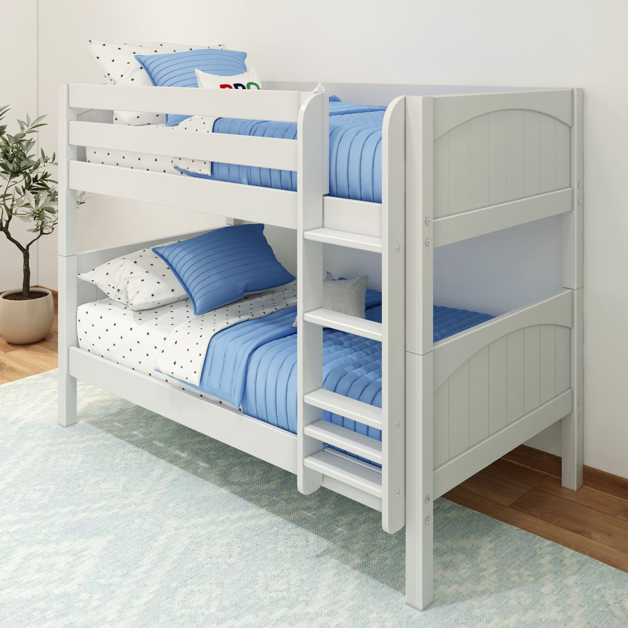 White wooden bunk bed with blue bedding in a child's room decorated with a potted plant and patterned rug.