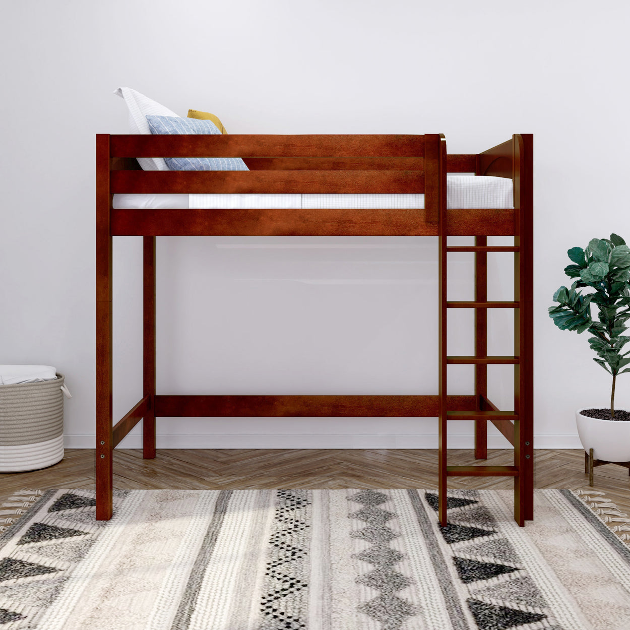 Wooden loft bed with ladder in a modern bedroom featuring a decorative rug and plant.