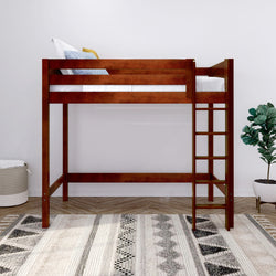 Wooden loft bed with ladder in a modern bedroom featuring a decorative rug and plant.