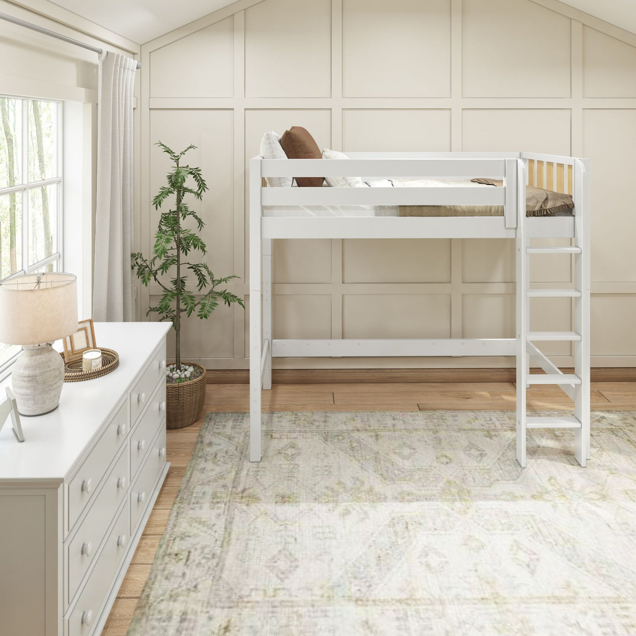 Loft bed in cozy bedroom with white dresser, indoor plant, and soft natural lighting.