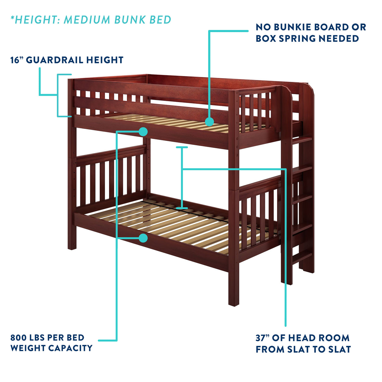 Medium brown wooden bunk bed with 16-inch guardrail height, no box spring required, 800 lbs per bed weight capacity, and 37 inches of headroom between slats.