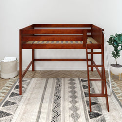 Wooden loft bed with ladder in modern bedroom interior.