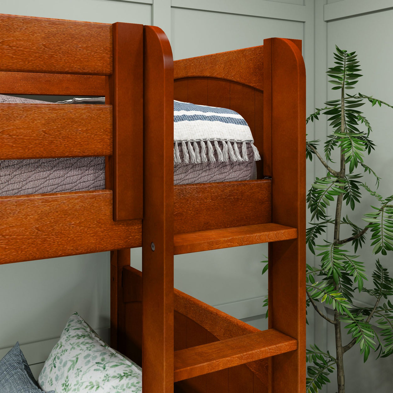 Wooden bunk bed with ladder in a cozy bedroom setting with a plant accent.