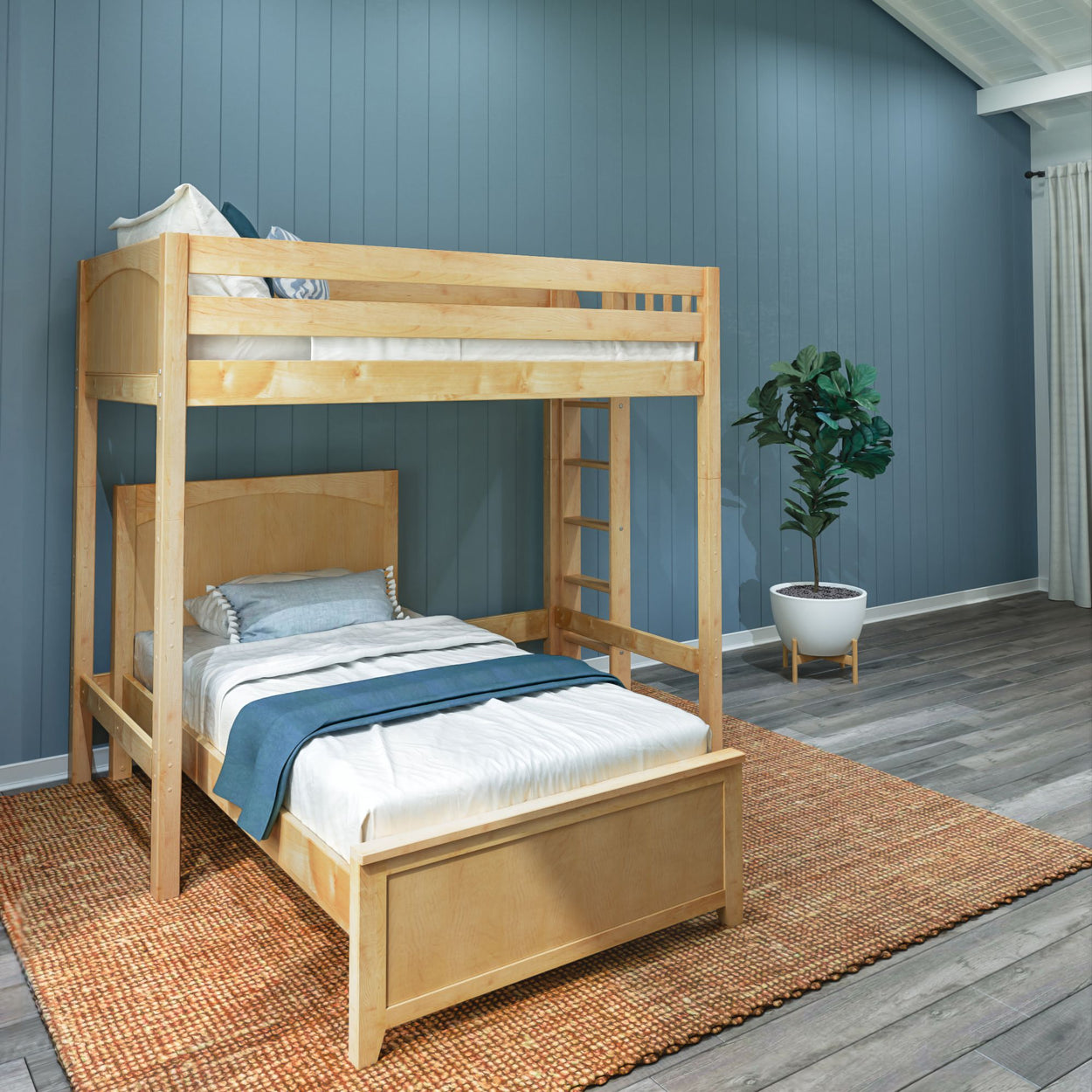 Wooden bunk bed in modern bedroom with blue walls and indoor plant on wooden floor.