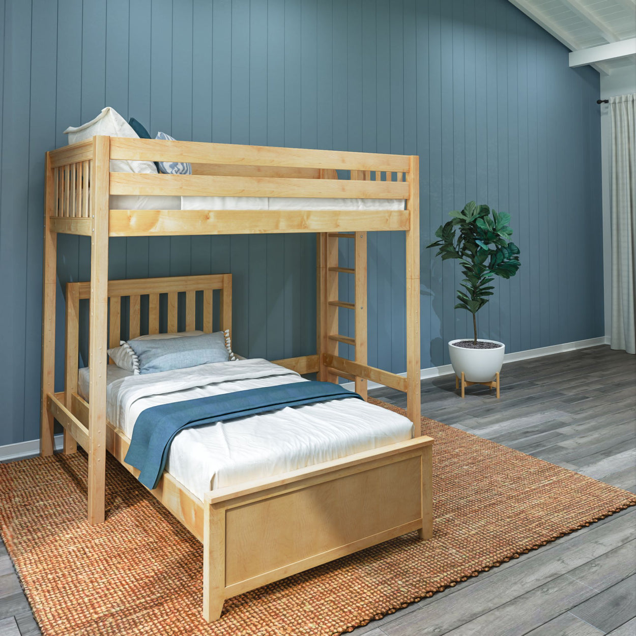 Wooden bunk bed with blue wall and indoor plant in modern bedroom decor.