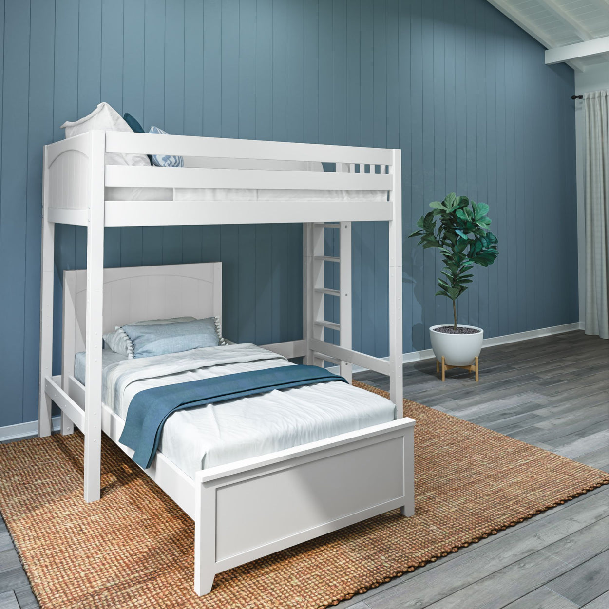 White bunk bed with ladder and blue bedding in a modern bedroom with wood flooring and plants.