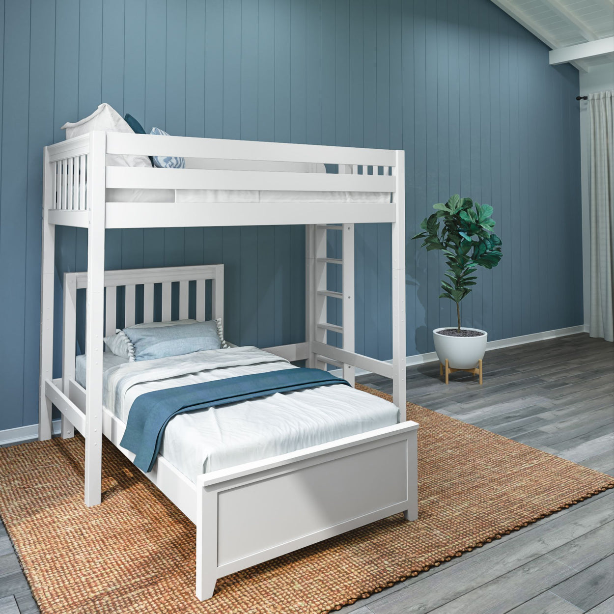 White wooden bunk bed in a modern blue-themed bedroom with a potted plant.