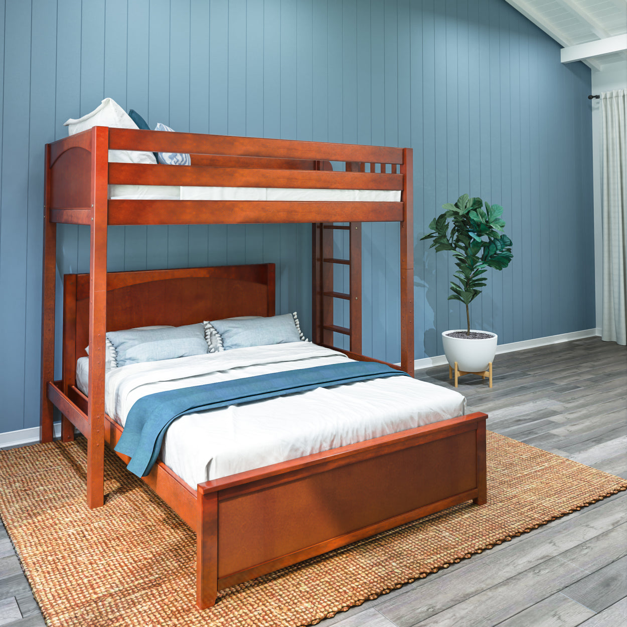 Wooden bunk bed with blue accents in a modern bedroom with a plant and woven rug.