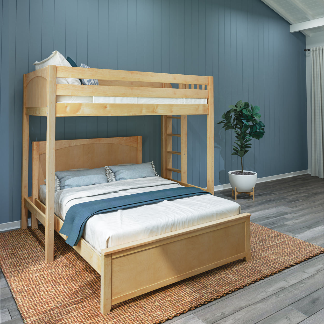 Wooden loft bed with lower queen-sized bed in a modern bedroom featuring a blue accent wall and indoor plant.