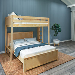 Wooden loft bed with lower queen-sized bed in a modern bedroom featuring a blue accent wall and indoor plant.
