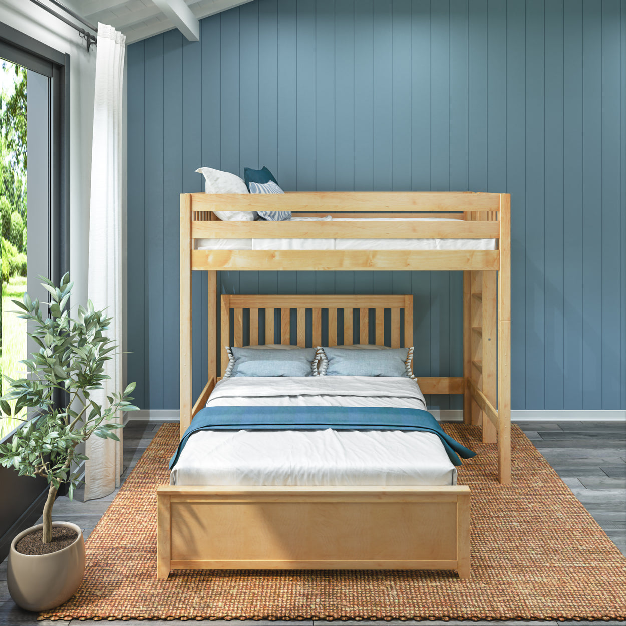 Wooden bunk bed in a modern blue-walled bedroom with natural light and decorative plant.
