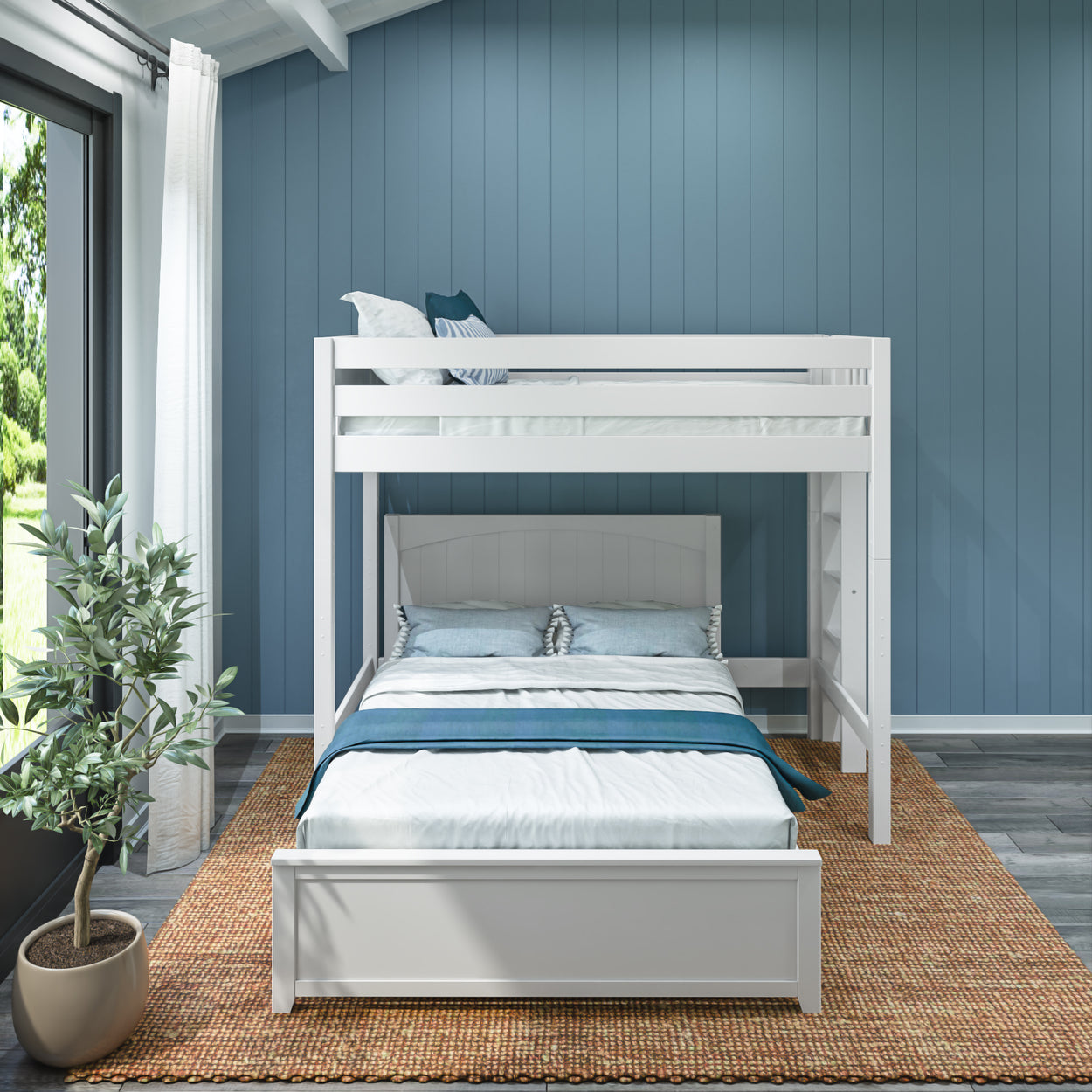 White wooden bunk bed in modern blue bedroom with natural light and a potted plant.