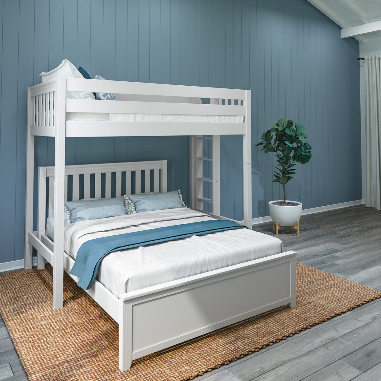 White bunk bed with a modern design in a stylish bedroom, featuring blue walls and a leafy plant.