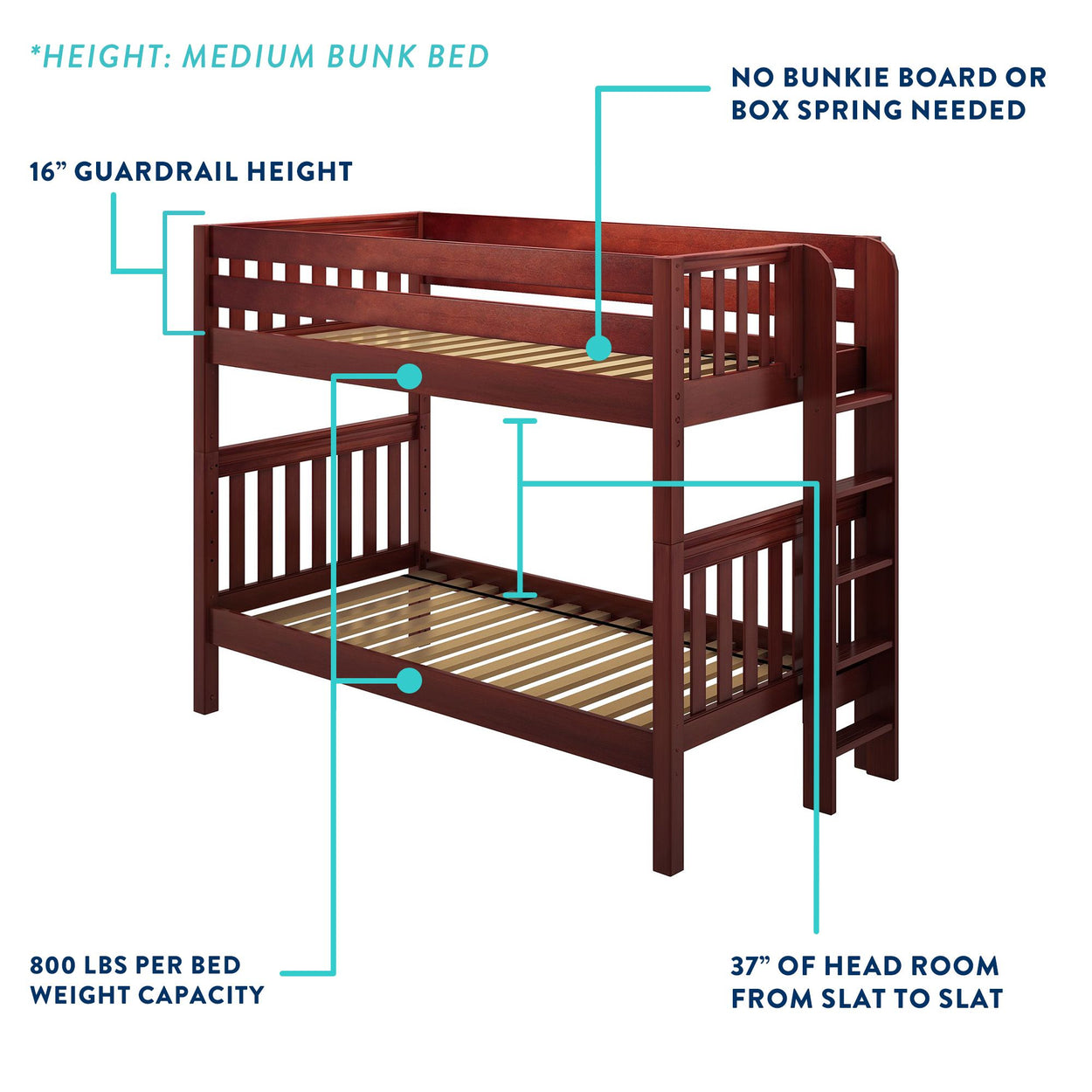 Medium wood bunk bed design with features including 16-inch guardrail height, 37 inches of headroom, 800-pound weight capacity per bed, and no need for bunkie board or box spring.