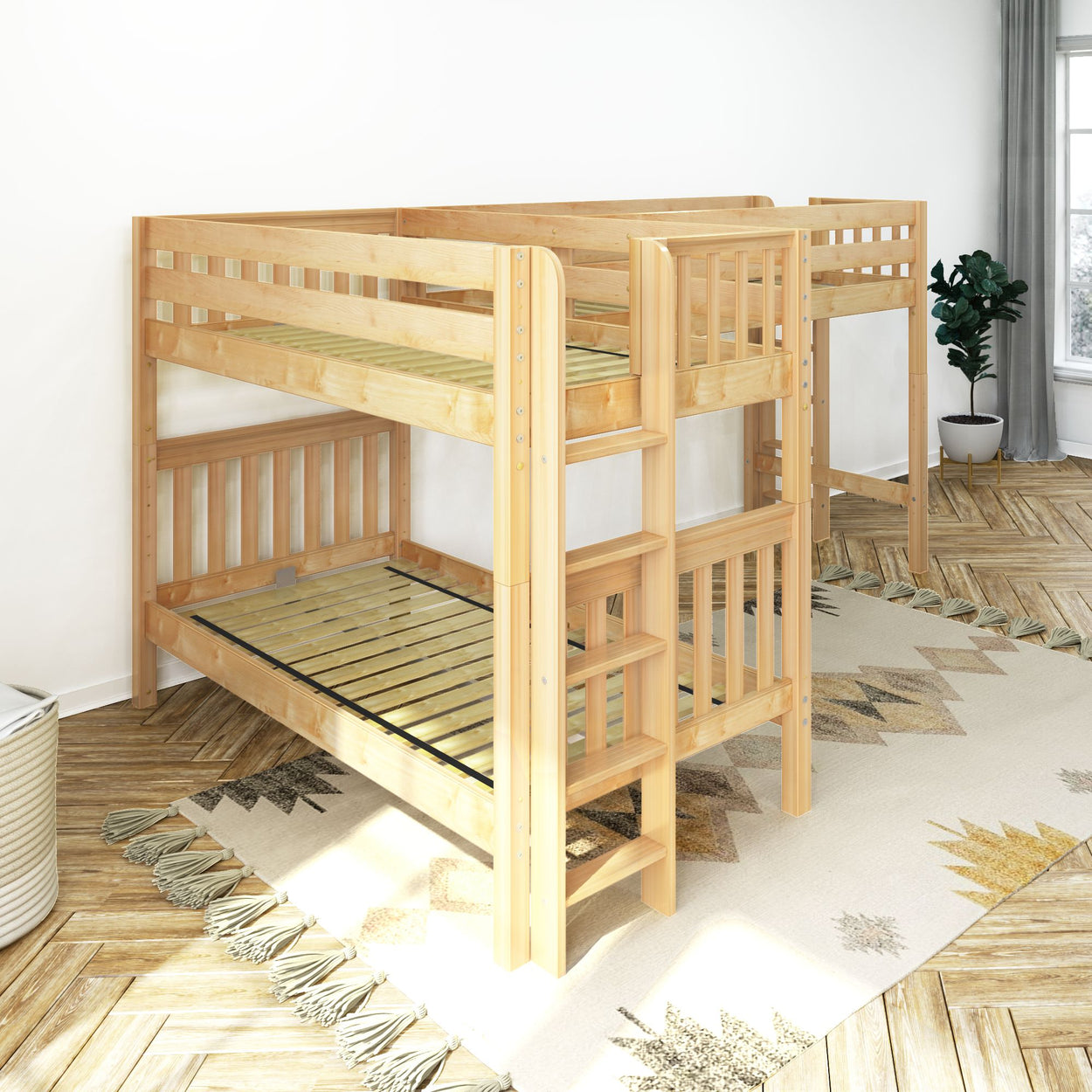 Wooden bunk bed in modern bedroom with natural light and indoor plant.