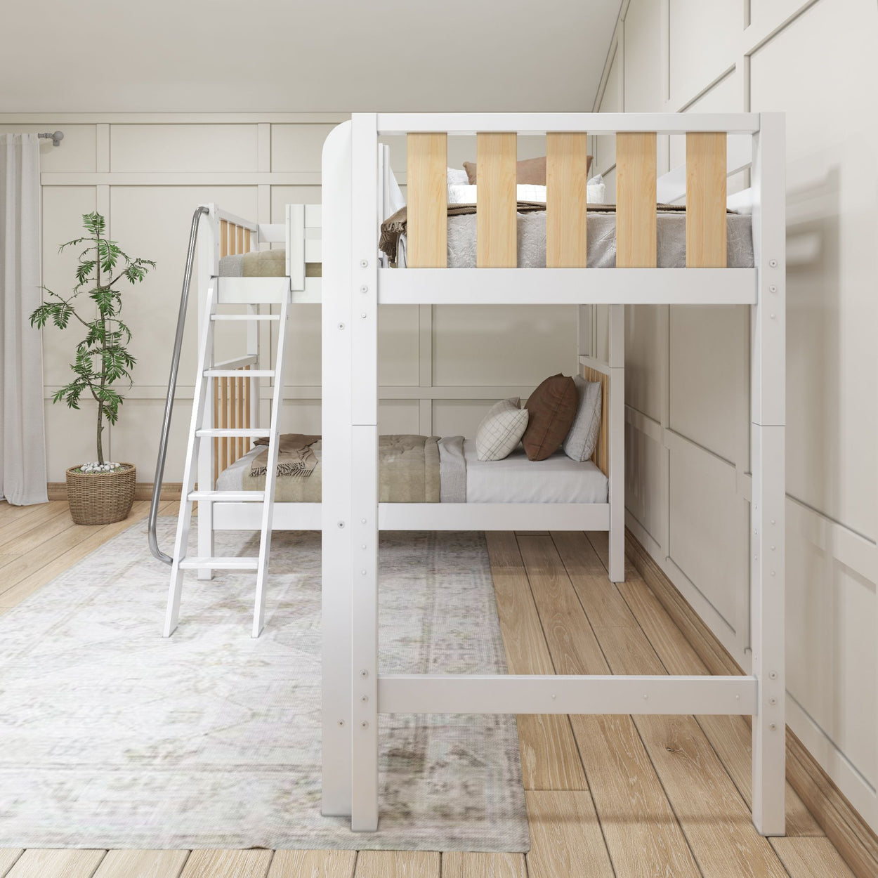 White wooden bunk bed with ladder in a modern minimalist bedroom with light wood flooring and potted plant.