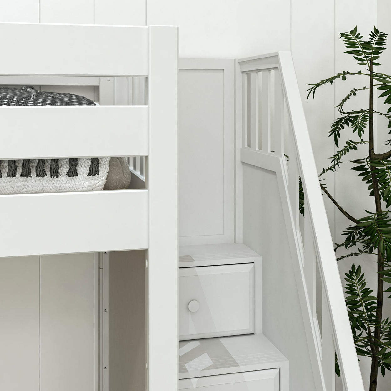 White wooden bunk bed with built-in storage drawers and modern railing adjacent to indoor plant.