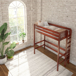 Loft bed with wooden frame in a bright room with large window, neutral decor, and potted plants.